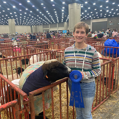 Emily Anderson smiles while holding a blue ribbon next to a sheep wearing a coat. They are in a large indoor livestock area with red metal pens, surrounded by many people and animals in the background.