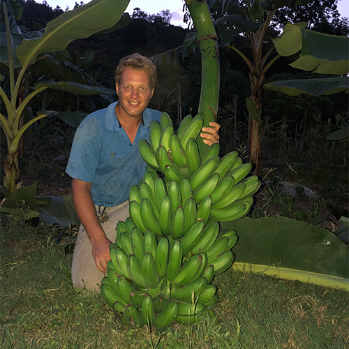 Bryan Beachy kneels beside an exceptionally large bunch of green bananas in a field, smiling at the camera. Tall banana plants and a darkening sky are visible in the background.