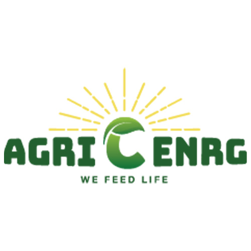 Logo with the text "AGRICENRG" in green. A stylized green leaf forms the letter C. Above it, yellow rays resemble a sunrise. Below, the tagline reads "WE FEED LIFE" in smaller green letters.